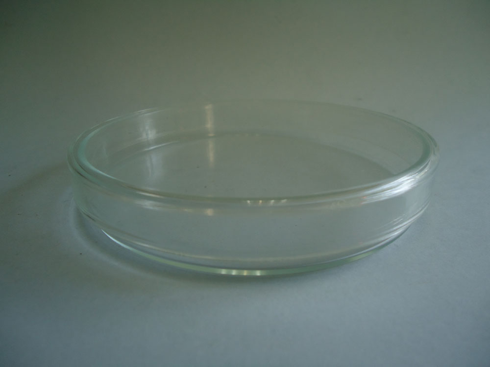 Caja Petri vidrio 20 cms.